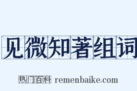 见微知著组词是什么意思的图片